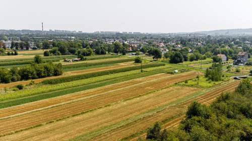 Działka budowlana Tarnów, ul. Cedrowa