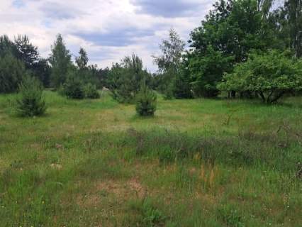 Działki budowlane w Planie ogólnym, 1040m2, Młynisko