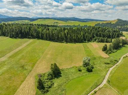 Działka w Niedzicy prywatna oaza ciszy