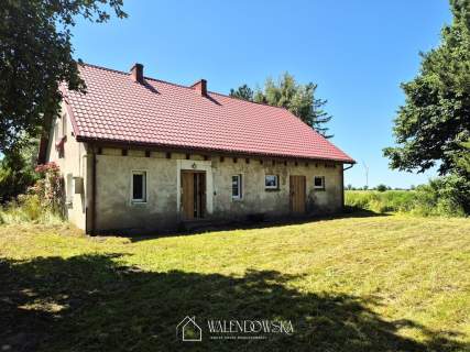 Dom do remontu z działką 3254 m Grąbkowo