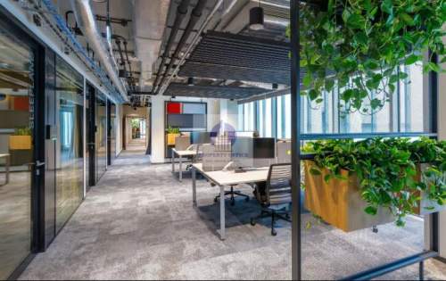 Śródmieście lokal biurowy 337m2 do podnajmu