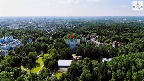 3-pokojowe mieszkanie z widokiem na korony drzew.