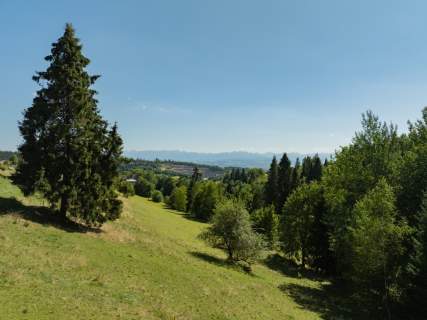 Działka rolno-leśna Obidowa