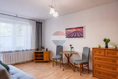 Przestronna kawalerka na Plantach