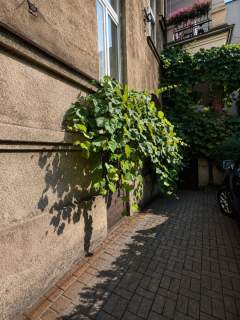 Apartament premium 205m2 centrum Gliwic