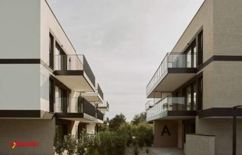 Gotowy do Zamieszkania Wysoki Standard i Słoneczny Ogródek 