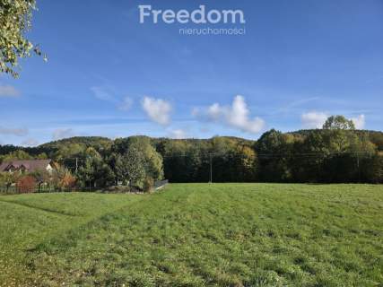Działka budowlano-usługowa w Rzykach 743 m2