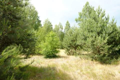 Wólka Smolana, gm. Brochów, 5 działek