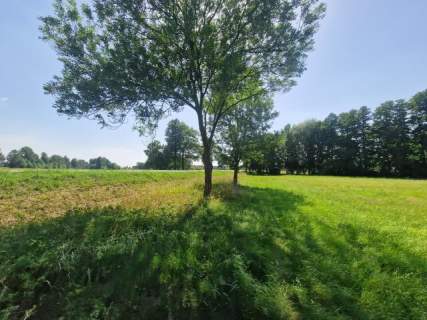 Działka inwestycyjna 1,11ha - Borysławice Zamk. sprzedam lub...