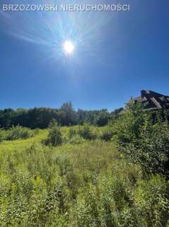 Aleksandrów, 2320 m2, MPZP mieszkaniowa
