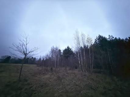 Okazja Duża działka rolna w Borkowie 9802m2