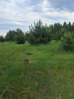 Działki budowlane w Planie ogólnym, 1040m2, Młynisko