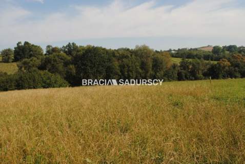 Okazja Do sprzedania duża nieruchomość .