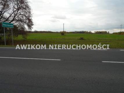 Działka rolna na sprzedaż, 58340 m2, Lisowola