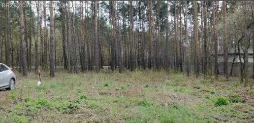 Wawer, Falenica, 1980 m2, PnB, wolnostojący