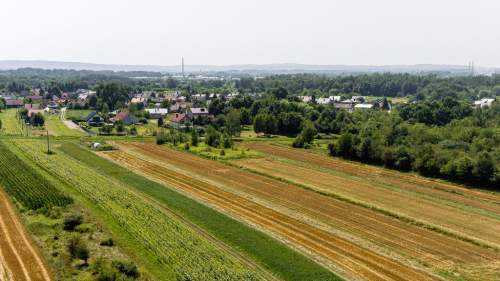 Działka budowlana Tarnów, ul. Cedrowa