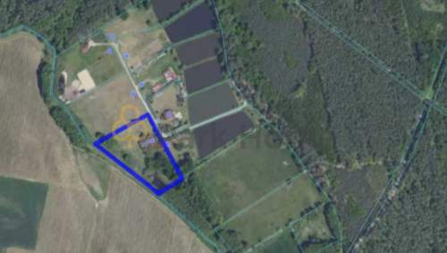 Niesamowity dom w otoczeniu lasu i stawów