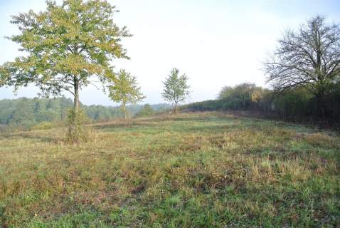 Działka, Sobków