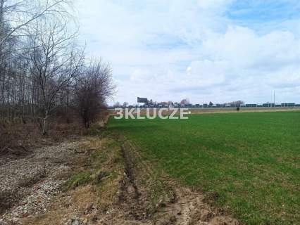 Działka budowlana 4546 m2, Dąbrowica