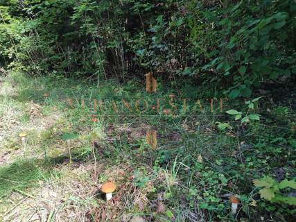 DZIAŁKA ROLNA/INWESTYCYJNA 6,58HA BLISKO JEZIORA
