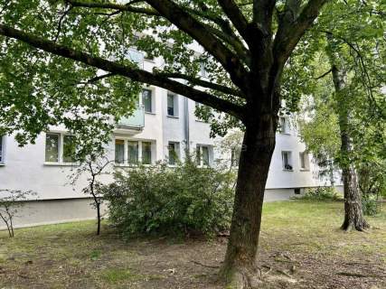 2 pokoje na Sadybie Balkon Piwnica Zieleń