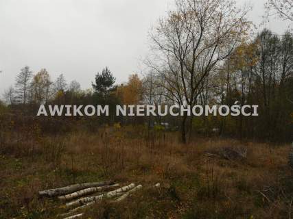 Działka budowlana na sprzedaż, 12500 m2, Antoniew
