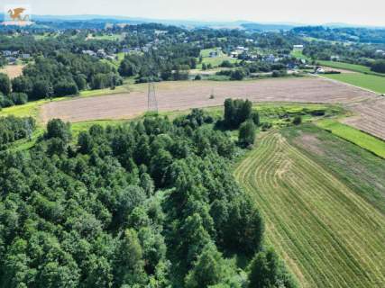 1,24 ha gruntu za 120 tys. zł Gołuchowice - gmina Skawina