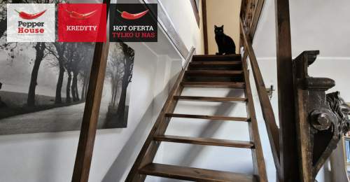 Wyjątkowa mansarda z antresolą Gdańsk Wrzeszcz