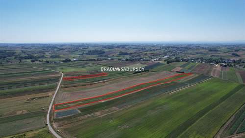 Działki rolne Proszowice