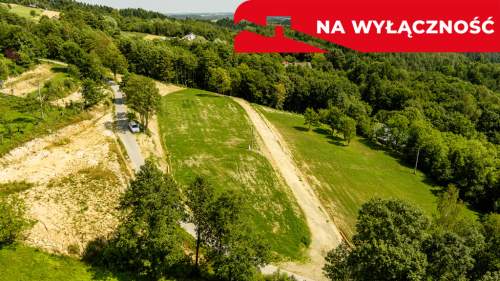 Działka 90 ar z Wz Olszowa, TANIO 