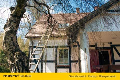 Dochodowa agroturystyka NOWOGRÓDEK