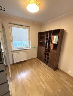 Komfortowe 5 pokoi, ogródek