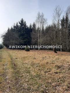 Działka inwestycyjna na sprzedaż, 43467 m2, Powązki