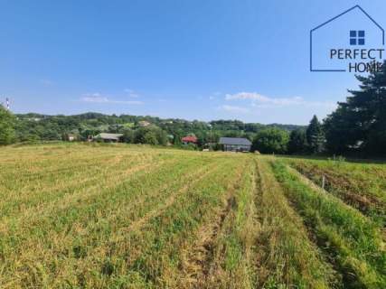 4 działki budowlane Pszów Doły okazja