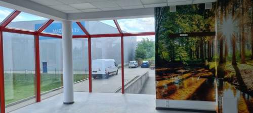 Nieruchomość komercyjna do wynajęcia, 170 m2, Tarnowo Podgórne
