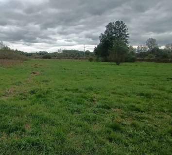 Siedlisko , Dwa domy 40 km od Warszawy