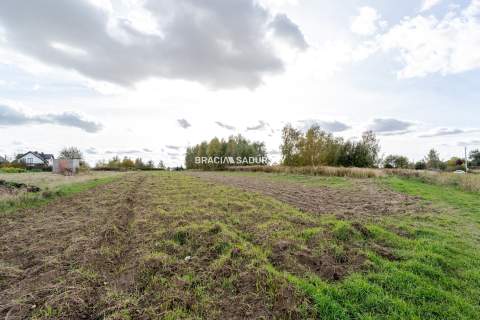 Działka budowlana / 25 ar / płaska / Cholerzyn