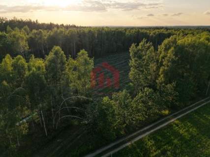 Działki budowlane lesie - Zarezerwowane