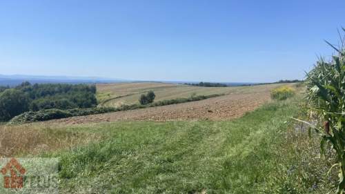 Działka zagrodowa w Rybnej koło Krakowa piękny widok