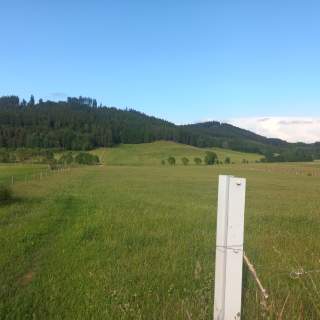 Sprzedam gospodarstwo rolne