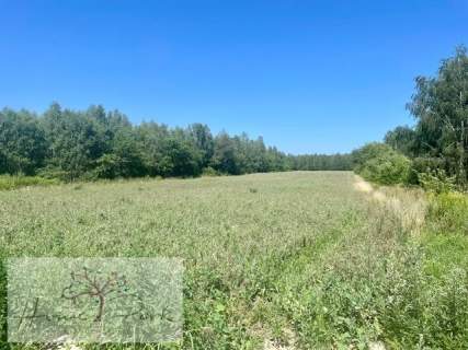Kompleks działkek budowlanyc w Justynowie 6878m2