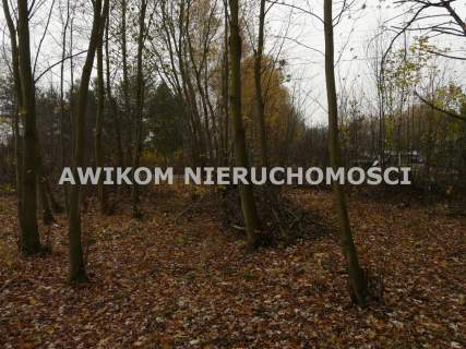 Działka budowlana na sprzedaż, 12500 m2, Antoniew