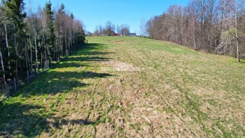 Widokowa działka budowlana w Głogoczowie