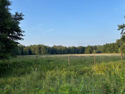 Działka rolna 9 846 m przy lesie Tanowo