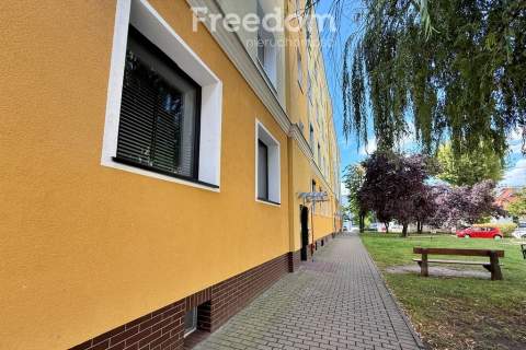 Atrakcyjny lokal usługowo-biurowy 37,5 m - Konin