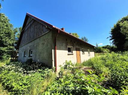 Dom do remontu z działką 3254 m Grąbkowo