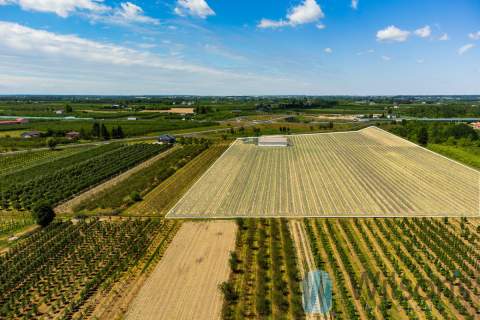Grunt pod hale/magazyny - 5,65 ha przy S7