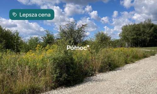 Cikowice działka przemysłowa 21arów