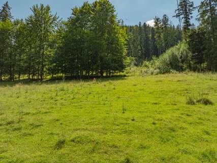 Działka rolna Jaszczurówka Zakopane z dojazdem