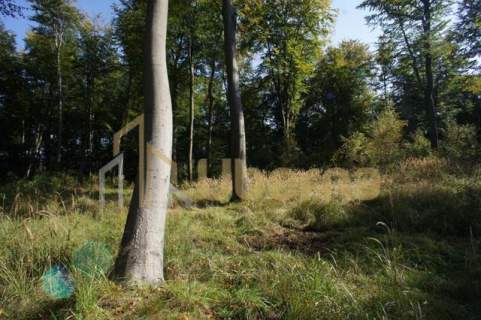 Działki nad jeziorem Dobra Nowogardzka